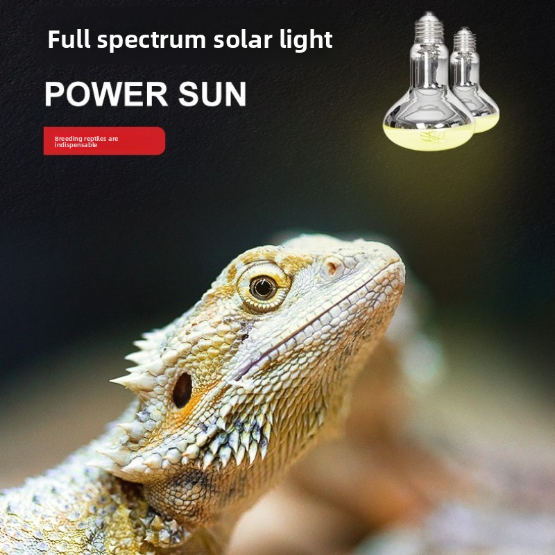 Reptizoo Lampa Solarna dla Gad – Calcium Powder Reptile recenzja i cena