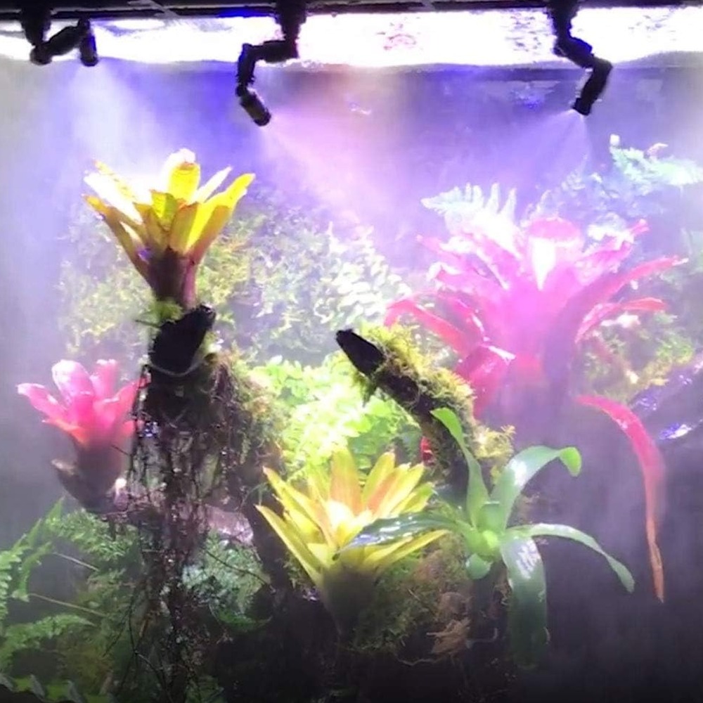 Generator mgły dla terrariów P – Misting Nozzle Reptile recenzja i cena