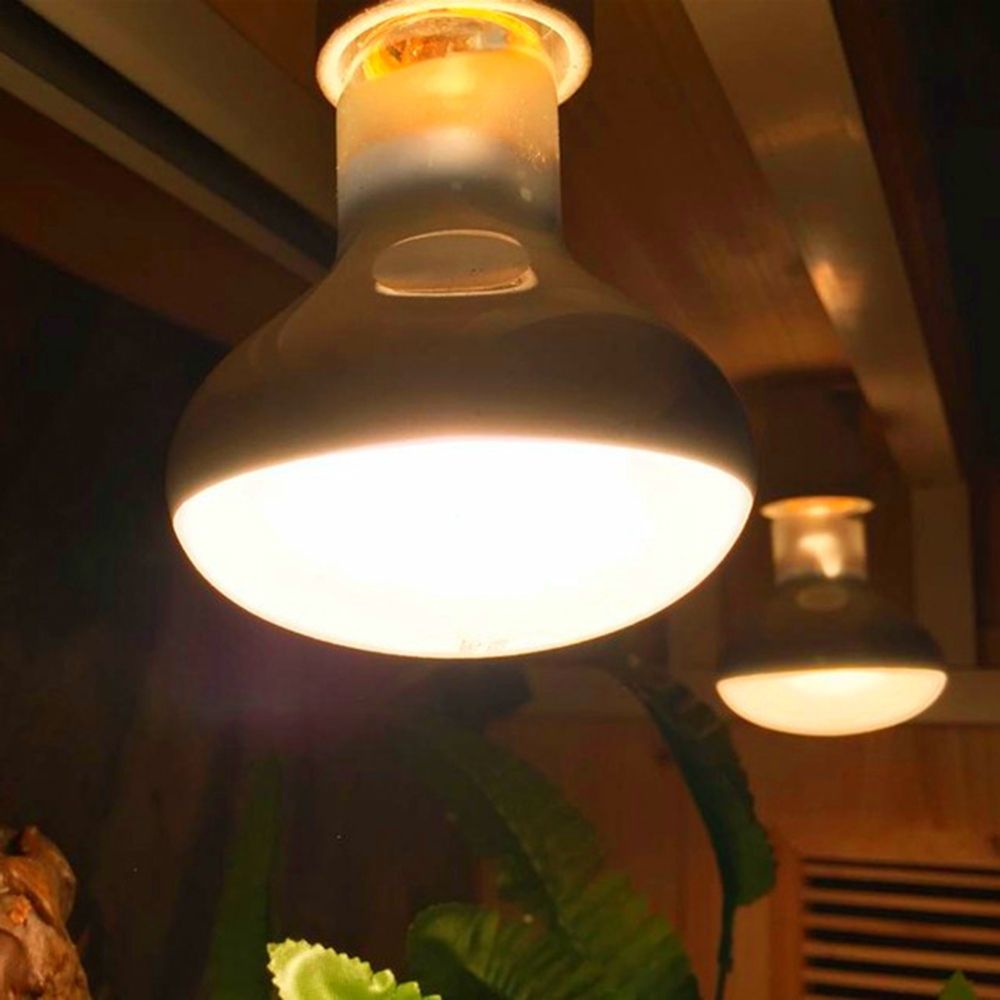 Regulator temperatury do grzej – Basking Bulb Halogen recenzja i cena