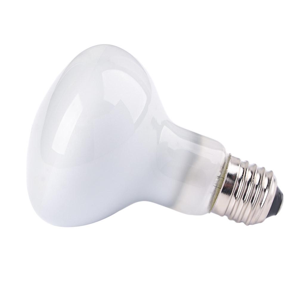Żarówka halogenowa dla płazów, – Basking Bulb Halogen recenzja i cena
