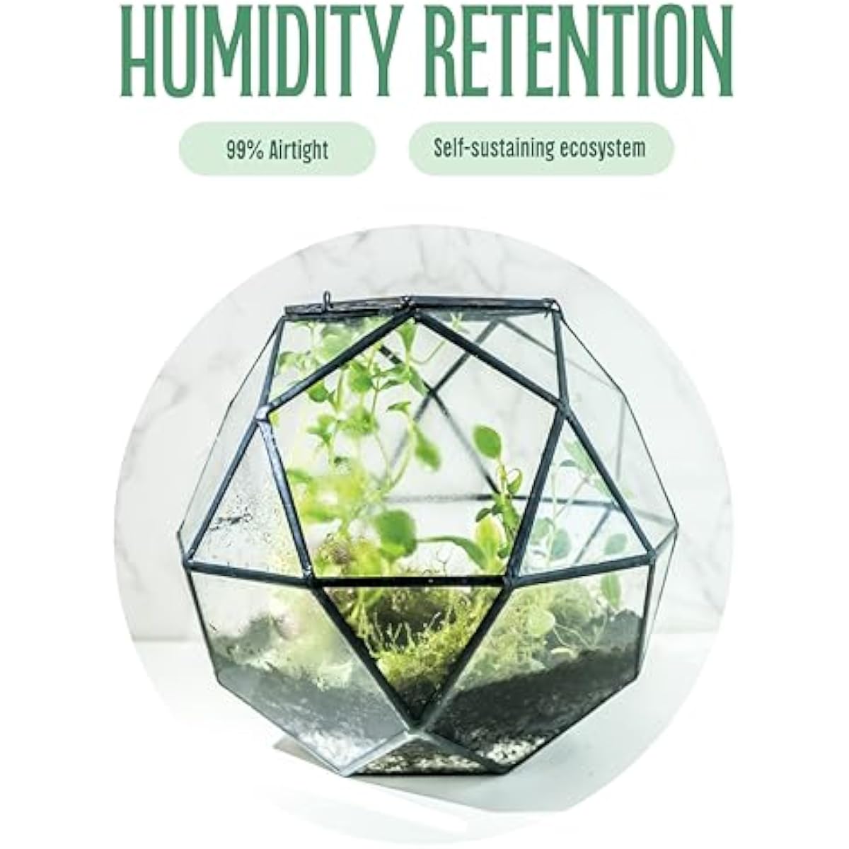 Geometryczny terrarium w kszta – Glass Door Hinge recenzja i cena