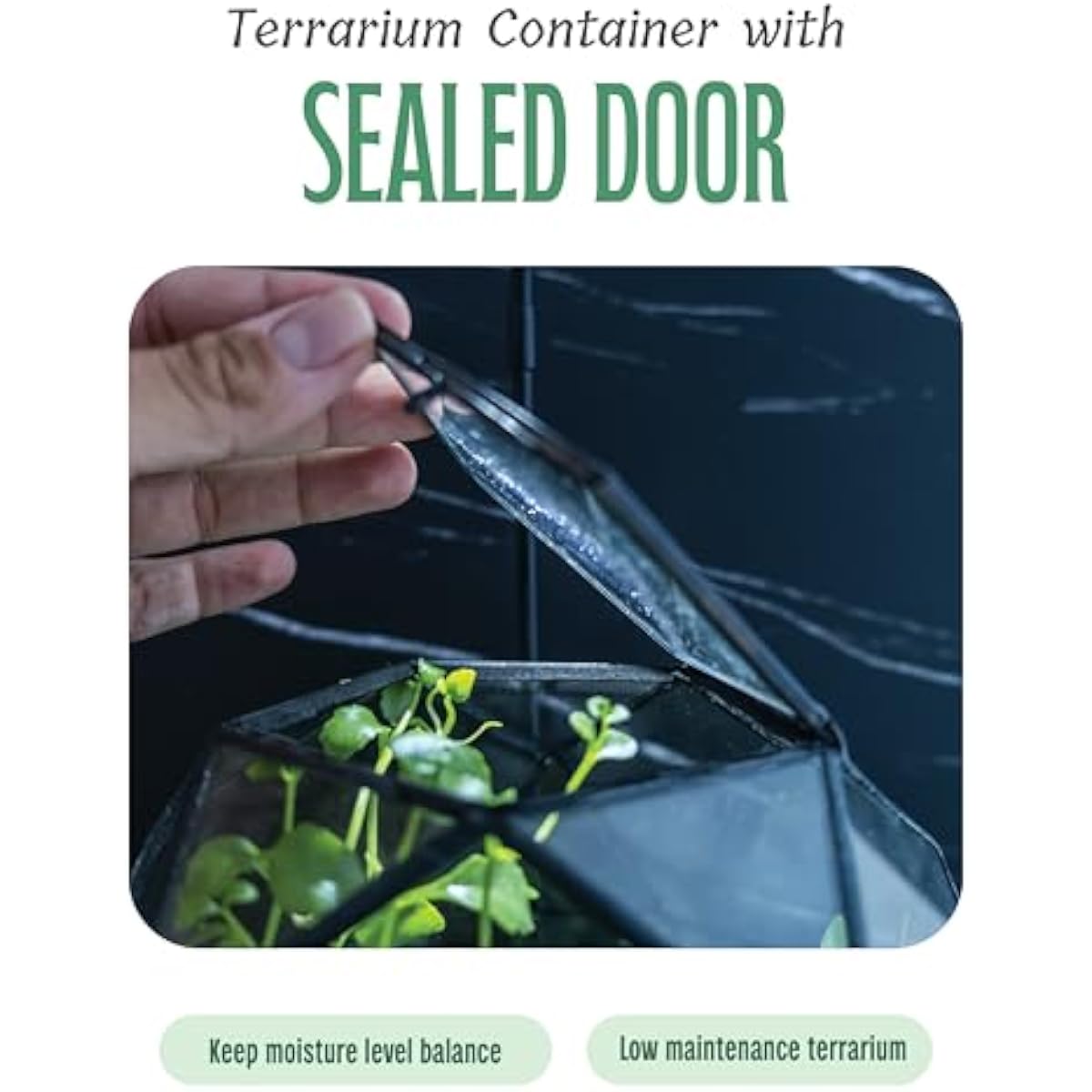Geometryczny terrarium w kszta – Glass Door Hinge recenzja i cena
