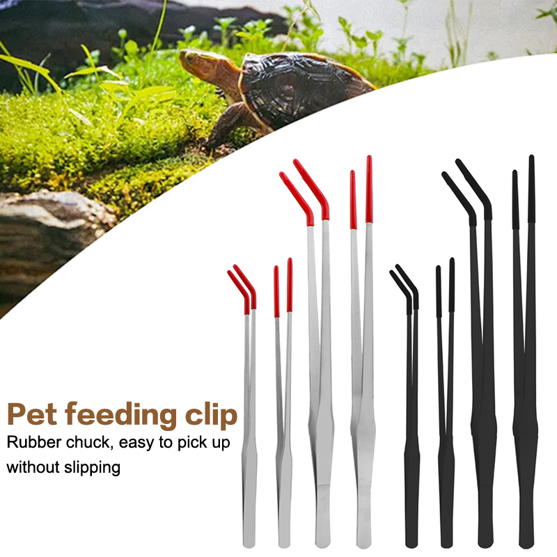 Narzędzia do konserwacji akwar – Feeding Tong Stainless recenzja i cena