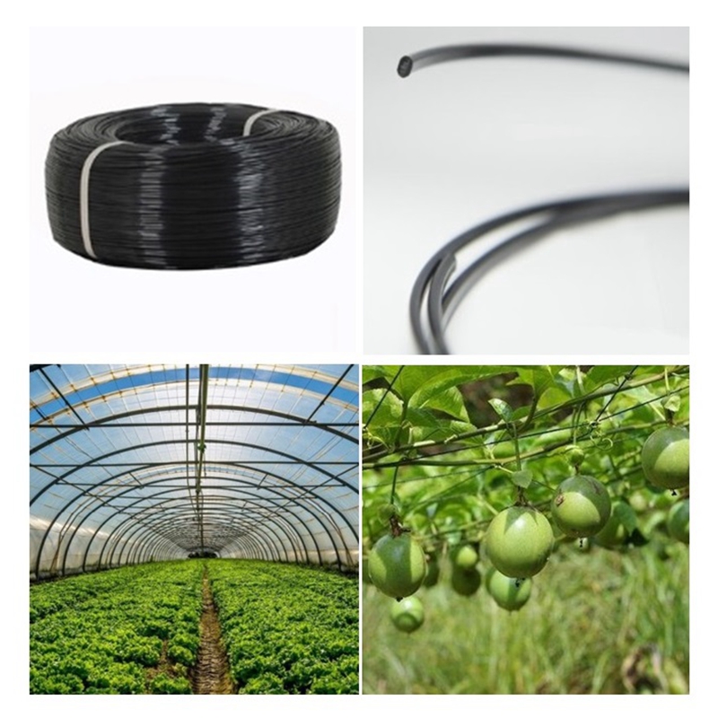 50m Plastikowy Drut Stalowy do – Vine Climbing Plastic recenzja i cena