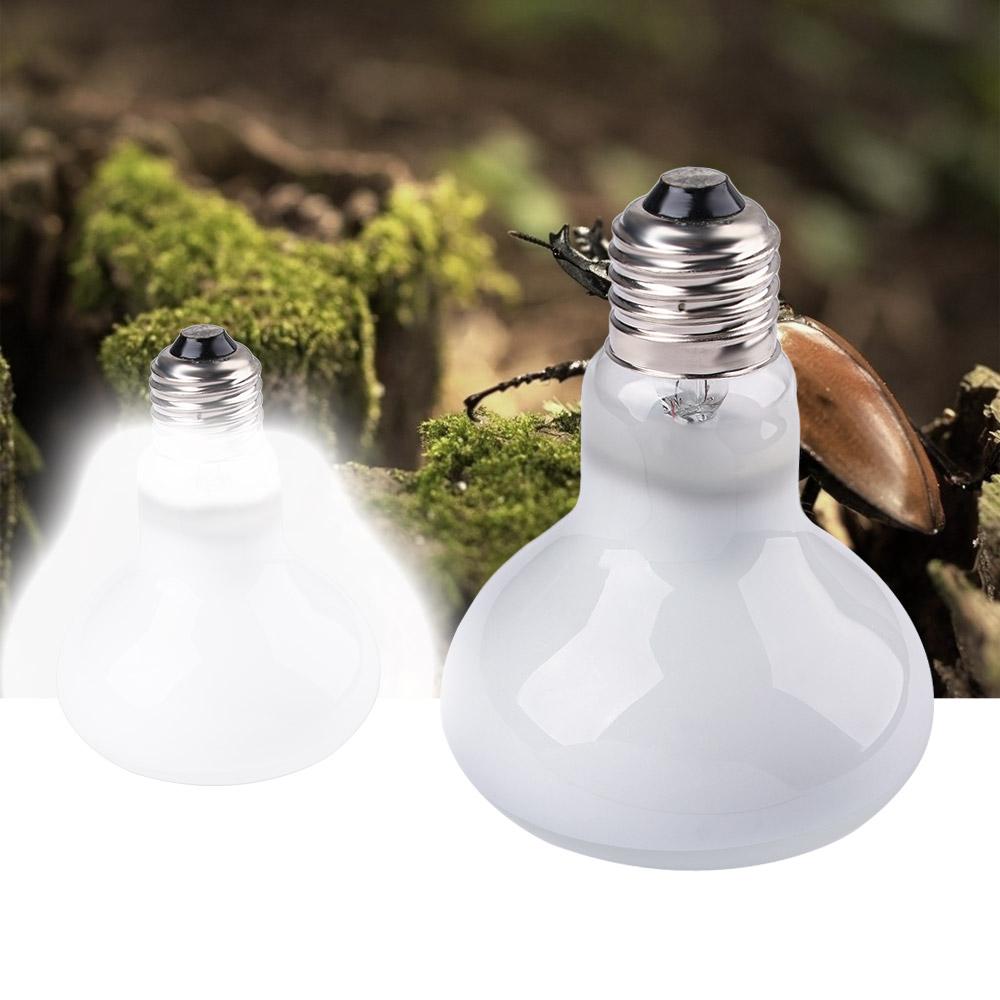 Lampa grzewcza dla żółwi, lamp – Basking Bulb Halogen recenzja i cena
