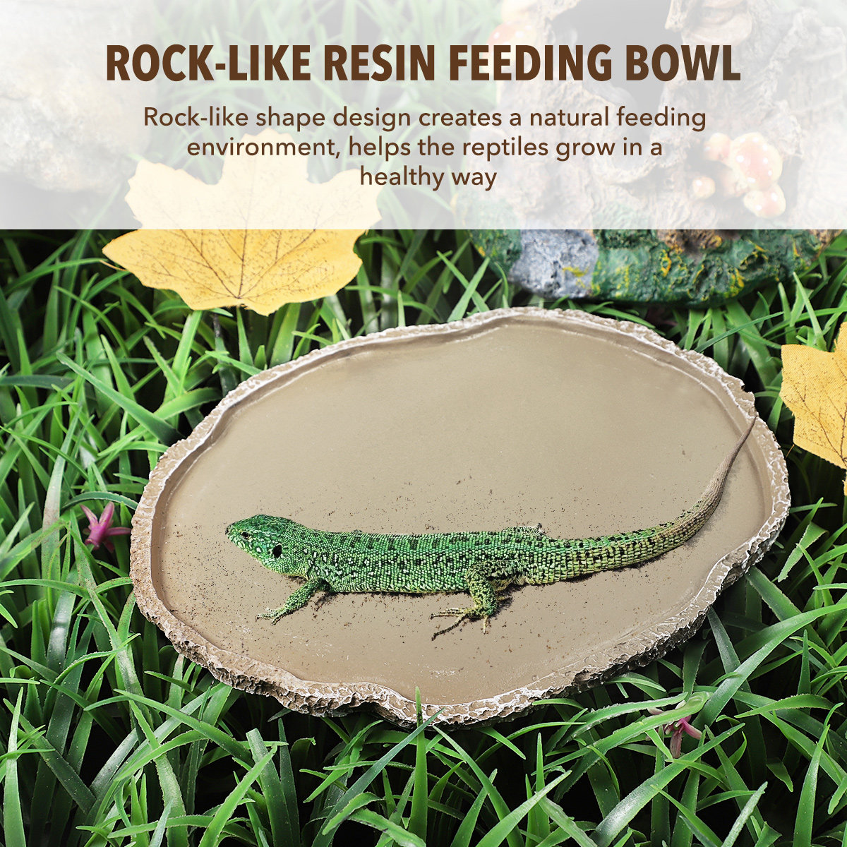 Miska na karmę dla gadów z żyw – Water Dish Reptile recenzja i cena