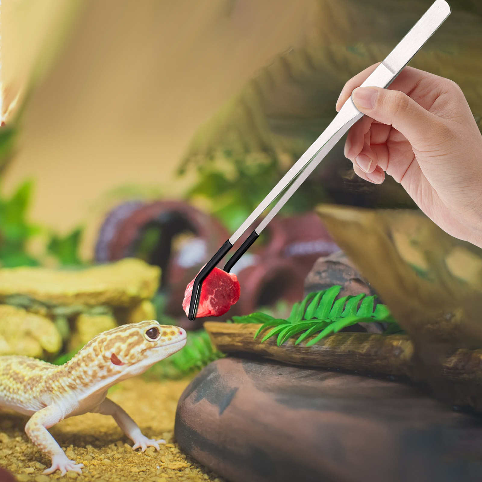 Długie szczypce do karmienia g – Water Dish Reptile recenzja i cena