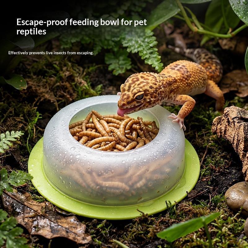 1 szt. miski do karmienia gadó – Water Dish Reptile recenzja i cena