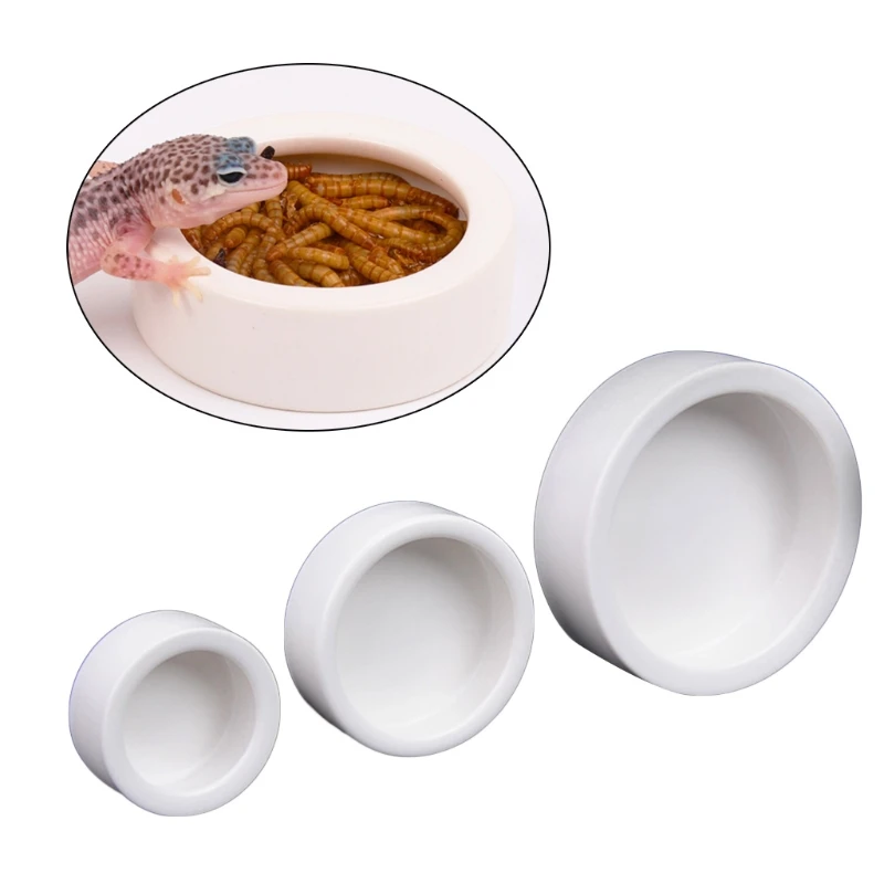 Miska na karmę dla gadów, cera – Water Dish Reptile recenzja i cena