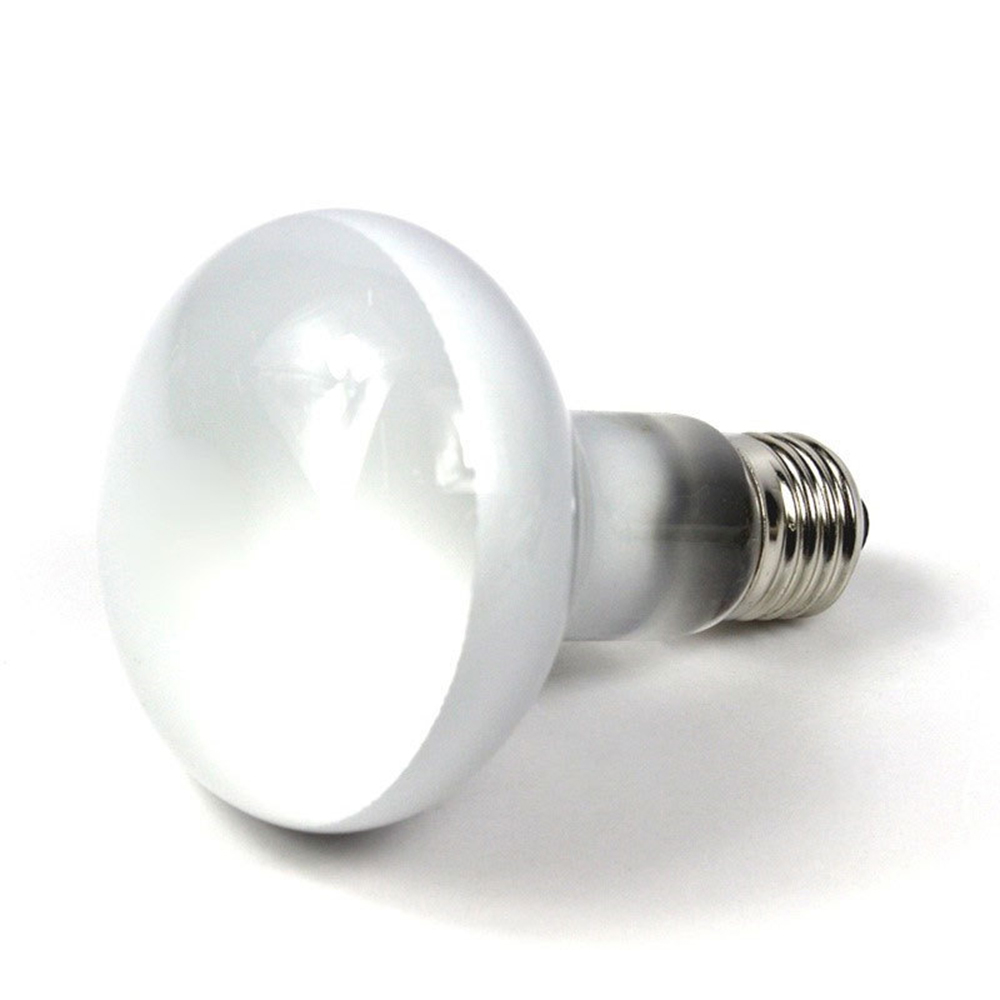 Lampa grzewcza dla żółwi, lamp – Basking Bulb Halogen recenzja i cena