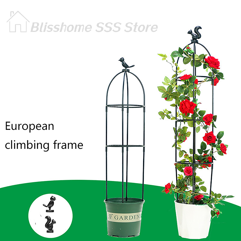【S】1 Zestaw Siatka do Podtrzym – Vine Climbing Plastic recenzja i cena
